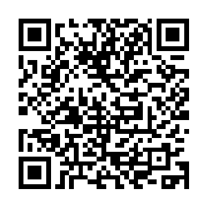 散发着亡命之徒彪悍气息的苗毅摸出了星华仙草像吃草一样二维码生成