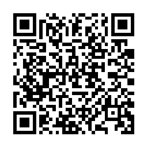 散发着古老荒凉之气的骨刀直接朝着半空的刘宇劈去二维码生成