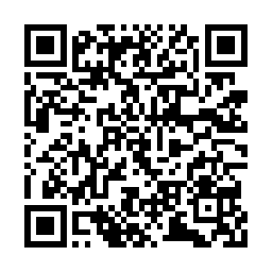 散发着浩大无比力量的紫府仙婴都面露凝重之色二维码生成