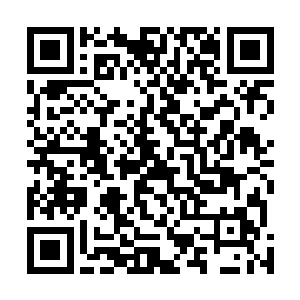 散在周围正在寻找各种资源的许家弟子听到许紫烟的长啸二维码生成