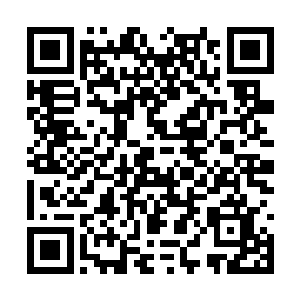 散落四方的武者们用一种狂热的目光看着五位圣者二维码生成