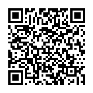 散落着大量圆滚滚的侦察专用晶眼和自爆磁性水雷二维码生成