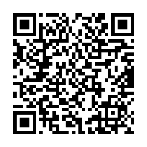 敬佩……后面轮到的几个小伙子听说是跟金梁先生通话二维码生成