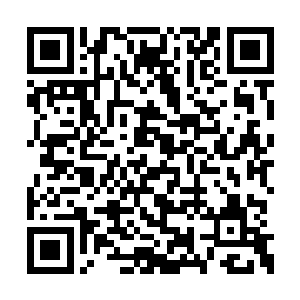 数一百道身影出现在了龙宇刚才消失不见的地方二维码生成