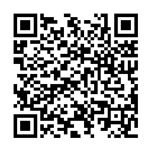 数万只妖兽正向着许紫烟他们刚刚离开的地方合围而去二维码生成