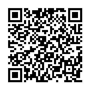 数万提心吊胆的人族武者立刻爆发出一阵欢呼声二维码生成