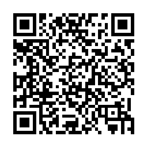 数不尽的天材地宝……我们星海共和国流亡政府别的没有二维码生成