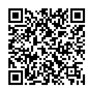 数不清的孩子在半路就透支昏倒或者直接放弃转身走下阶梯二维码生成