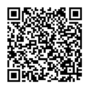 数之不尽的圣甲虫也开始在一阵阵密密麻麻的爬行声中出现在了虫群之中二维码生成