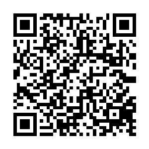 数之不尽的强者身穿各种各样的铠甲在激烈的大战二维码生成