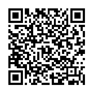 数之不尽的琉璃枝叶也开始从那琉璃菩提树上垂下二维码生成