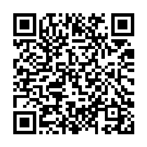 数之不尽的符纸如蝗虫天灾一般扑向了那黑色的魔手二维码生成