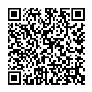 数之不尽的飞天蚁好似形成了一道密不透风的天墙阻挡了剑尘几人的去路二维码生成