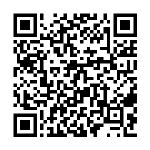 数以百计的小型导弹也再次从城北位置冲天而起二维码生成