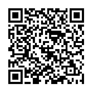 数位在攻击范围内的少正家家臣就这么消失得无影无踪二维码生成