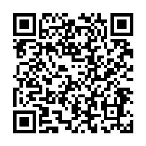 数倒霉的清军被炮弹碎屑以及炸碎的山石击伤乃至炸死二维码生成