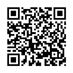 数分钟后王世子便到了基地的第一安防区前二维码生成