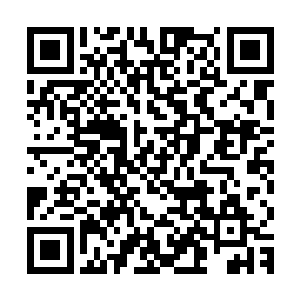 数刻时间便能把整个海岛方圆三千里之内的一切窥探的一清二楚二维码生成