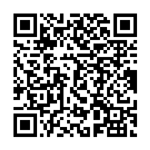 数十位14岁左右的孩子顶着烈日站在操练场上排着队伍二维码生成