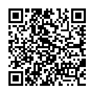 数十名忍者和两个鬼魂身形已然从我目所能及处消失二维码生成