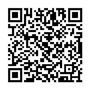 数十名荀家弟子都是不可思议的看着自己的家主二维码生成