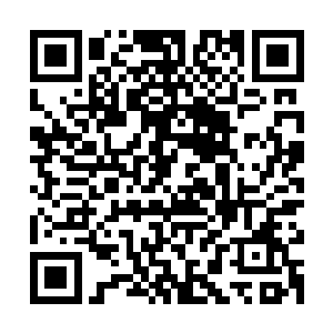 数十架机甲扑向了镰刀扎戈群中配合着空中和地面的重火力压制二维码生成