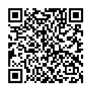 数十道强大的剑气犹如游龙一般从龙傲天的无锋长剑之中飞出二维码生成