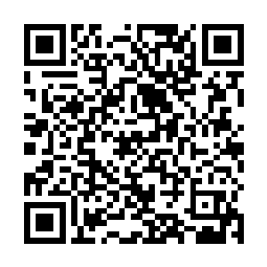 数千万枚制导导弹向着那只超大型的蝙蝠身上激射而去二维码生成