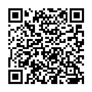 数千黑旗军将战斗意志与决心都处于巅峰的三万延山卫二维码生成