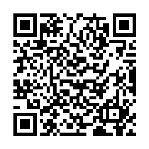 数圣怕都不认识历经轮回的阿难……孟奇若无其事般道二维码生成