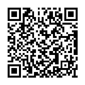 数据记录中突然闪过两条令马文悚然一惊的消息二维码生成