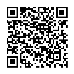 数百个剑王和数百头飞行异兽再度发现楚暮的踪迹二维码生成