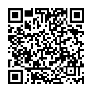 数百的混沌兽和域外天魔出现在许紫烟等修士的对面二维码生成