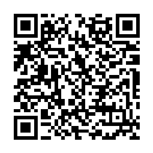 数百道逼人的劲气在洞察之魄的作用下被霍君白将其挡开二维码生成
