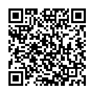 数百道龙魂在虚空之中也结成了一个无比玄妙的阵势二维码生成