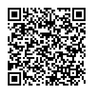 数着数着绵羊那白花花的一团软毛就不由自主的换成了龙战那张脸二维码生成