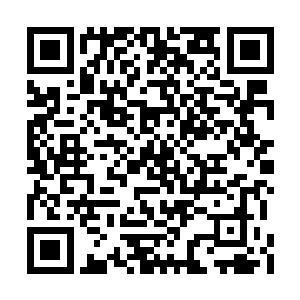 数道玄级修武者的气息在着林辰的前方爆发而出二维码生成