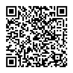 数量上不能有优待所以挑选的时候都选的是最大最肥最能下蛋的野鸡二维码生成