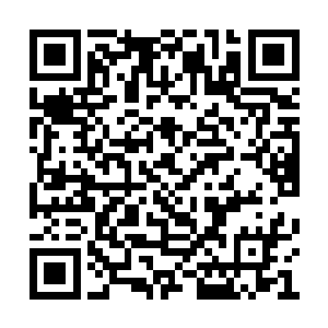 数量之多让亲手收集这些的剑尘都为之瞠目结舌二维码生成