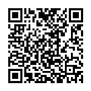 数量累计起来反而比这两项技能升的都还要快上一点二维码生成