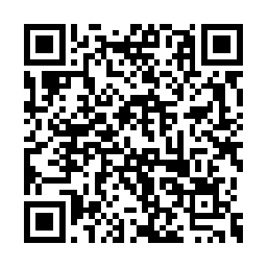 整个世界的色调都比刚才黯淡了一点点微不足道二维码生成