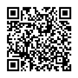 整个东方世家的支系后代全部被东方家主用来当做工具二维码生成