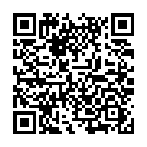 整个东方修仙界又有哪个宗门敢和我们青火宗死磕二维码生成