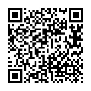 整个东来洞的修士貌似就属自己这个洞主最年轻了二维码生成