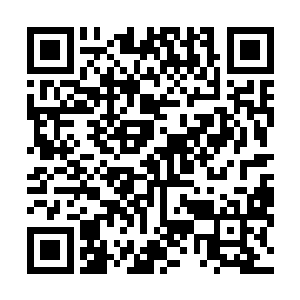 整个东黎国的子民听到大祭司的声音之后都是一阵的欢呼二维码生成