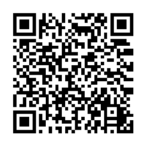 整个两域世界现在就只有叶青仙天优哉游哉在这里大肆吸金二维码生成