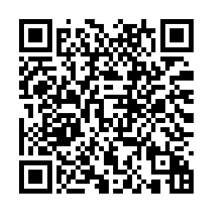 整个中国留学欧美的毕业生加起来也就是十五万人二维码生成