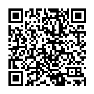 整个中枢室以及所有人的房间也都在飞速地崩解着二维码生成