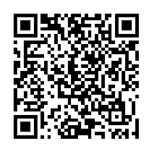 整个丰州城市西边竟然就成了一片高楼厂房林立的主城区二维码生成