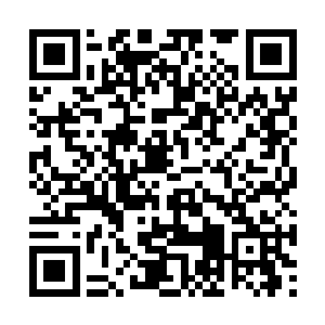整个云梦之境的人便是感觉到浑身的念力被抽空了二维码生成